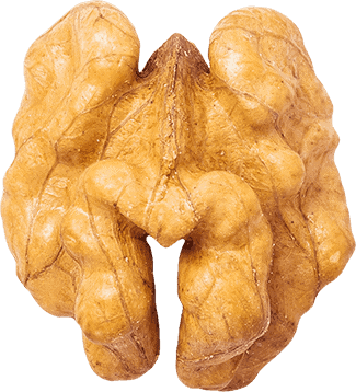 Walnut Wholenut used to make delicious nut butter